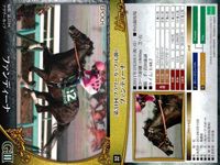 カード ホースレーシング まとめ インカンテーション カラクレナイ サンライズノヴァ レーヌミノル ファンディーナ コウソクストレート グレンツェント トーセンビクトリー アドマイヤリード 競馬 馬 EPOCH サムネイル 6
