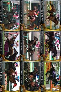 カード ホースレーシング まとめ インカンテーション カラクレナイ サンライズノヴァ レーヌミノル ファンディーナ コウソクストレート グレンツェント トーセンビクトリー アドマイヤリード 競馬 馬 EPOCH