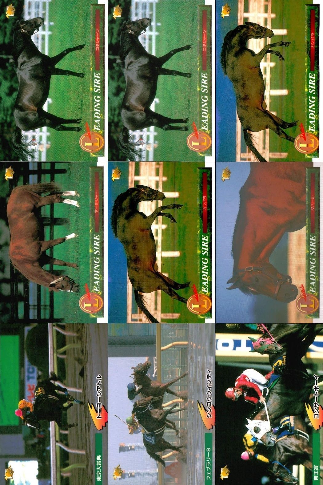 競馬 カード ホースレーシング まとめ コタシャーン コタシャーン カンパラ アーミジャー カンバラ ダハール トーヨーシアトル シンコウウインディ コンサートボーイ バンダイ