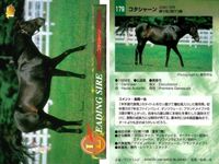 競馬 カード ホースレーシング まとめ コタシャーン コタシャーン カンパラ アーミジャー カンバラ ダハール トーヨーシアトル シンコウウインディ コンサートボーイ バンダイ サムネイル 2