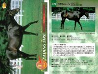競馬 カード ホースレーシング まとめ コタシャーン コタシャーン カンパラ アーミジャー カンバラ ダハール トーヨーシアトル シンコウウインディ コンサートボーイ バンダイ サムネイル 3