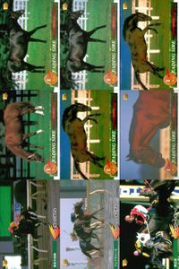 競馬 カード ホースレーシング まとめ コタシャーン コタシャーン カンパラ アーミジャー カンバラ ダハール トーヨーシアトル シンコウウインディ コンサートボーイ バンダイ サムネイル 1