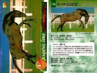 競馬 カード ホースレーシング まとめ コタシャーン コタシャーン カンパラ アーミジャー カンバラ ダハール トーヨーシアトル シンコウウインディ コンサートボーイ バンダイ サムネイル 4