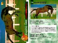 競馬 カード ホースレーシング まとめ コタシャーン コタシャーン カンパラ アーミジャー カンバラ ダハール トーヨーシアトル シンコウウインディ コンサートボーイ バンダイ サムネイル 6