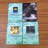 カード トレカ まとめ ファイナル ファンタジー FF ドラゴン 光の戦士 メテオの詠唱 浮遊城 王座のカオス 29 サムネイル 2