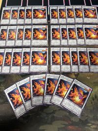灯魚 36枚 フィッシュランプ ノーマル 型番統一 まとめ 遊戯王