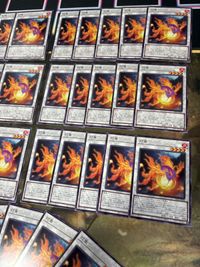 灯魚 36枚 フィッシュランプ ノーマル 型番統一 まとめ 遊戯王 サムネイル 3