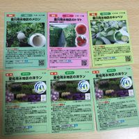 マンホールカード ダムカード テッシ武四郎カード 剣淵 キャベツ トマト 豊川 羽地ダム 板尾ダム サムネイル 3