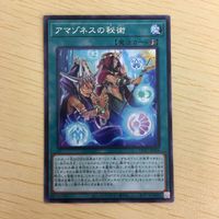 遊戯王 字レア カード トレーディングカード アマゾネスの秘術 まとめ サムネイル 4