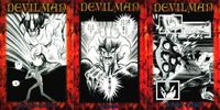 Devilman Card Lot Amada Japanese Vintage Anime Collection