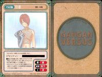 カード ガンガンヴァーサス ジャングルはいつもハレのちグゥ 里見☆八犬伝 サムネイル 10