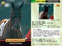 カード まとめ 競馬 サラブレッドカード 馬 マチカネフクキタル トキノエクセレント サイレンススズカ ディエムトップダン メジロドーベル ダイイチガー ハナノメガミ キョウエイマーチ サムネイル 2