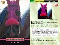カード まとめ 競馬 サラブレッドカード 馬 マチカネフクキタル トキノエクセレント サイレンススズカ ディエムトップダン メジロドーベル ダイイチガー ハナノメガミ キョウエイマーチ サムネイル 9