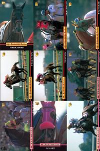 カード まとめ 競馬 サラブレッドカード 馬 マチカネフクキタル トキノエクセレント サイレンススズカ ディエムトップダン メジロドーベル ダイイチガー ハナノメガミ キョウエイマーチ サムネイル 1