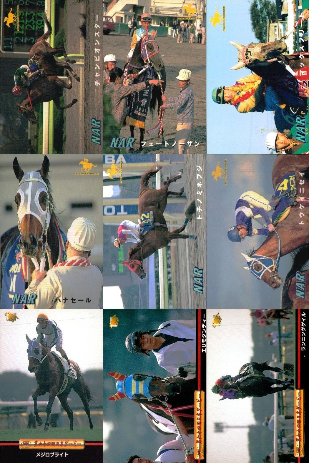 カード まとめ 競馬 サラブレッドカード 馬 チャンピオンスター フェードソーサ マックスフリード ハナセール トチノミフジ トクイニセイ メジロライデン エリモシンティー ランニングゲイル