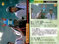 カード まとめ 競馬 サラブレッドカード 馬 チャンピオンスター フェードソーサ マックスフリード ハナセール トチノミフジ トクイニセイ メジロライデン エリモシンティー ランニングゲイル サムネイル 9
