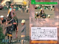 カード まとめ 競馬 サラブレッドカード 馬 チャンピオンスター フェードソーサ マックスフリード ハナセール トチノミフジ トクイニセイ メジロライデン エリモシンティー ランニングゲイル サムネイル 3