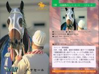 カード まとめ 競馬 サラブレッドカード 馬 チャンピオンスター フェードソーサ マックスフリード ハナセール トチノミフジ トクイニセイ メジロライデン エリモシンティー ランニングゲイル サムネイル 5