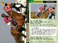 カード まとめ 競馬 サラブレッドカード 馬 アイドルマキシム サニーブライアン フジヤマビシン セイリュウオー ショウナンナンバー ブライアンコルト サプラスポードオー イシノサンデー サムネイル 4