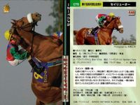 カード まとめ 競馬 サラブレッドカード 馬 アイドルマキシム サニーブライアン フジヤマビシン セイリュウオー ショウナンナンバー ブライアンコルト サプラスポードオー イシノサンデー サムネイル 5