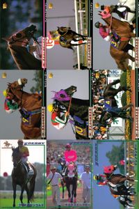 カード まとめ 競馬 サラブレッドカード 馬 アイドルマキシム サニーブライアン フジヤマビシン セイリュウオー ショウナンナンバー ブライアンコルト サプラスポードオー イシノサンデー サムネイル 1