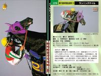 カード まとめ 競馬 サラブレッドカード 馬 アイドルマキシム サニーブライアン フジヤマビシン セイリュウオー ショウナンナンバー ブライアンコルト サプラスポードオー イシノサンデー サムネイル 6
