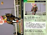 カード まとめ 競馬 サラブレッドカード 馬 アイドルマキシム サニーブライアン フジヤマビシン セイリュウオー ショウナンナンバー ブライアンコルト サプラスポードオー イシノサンデー サムネイル 3