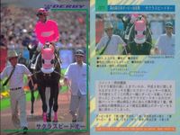 カード まとめ 競馬 サラブレッドカード 馬 アイドルマキシム サニーブライアン フジヤマビシン セイリュウオー ショウナンナンバー ブライアンコルト サプラスポードオー イシノサンデー サムネイル 9