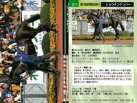 カード まとめ 競馬 サラブレッドカード 馬 アイドルマキシム サニーブライアン フジヤマビシン セイリュウオー ショウナンナンバー ブライアンコルト サプラスポードオー イシノサンデー サムネイル 7