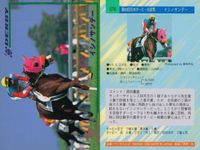 カード まとめ 競馬 サラブレッドカード 馬 アイドルマキシム サニーブライアン フジヤマビシン セイリュウオー ショウナンナンバー ブライアンコルト サプラスポードオー イシノサンデー サムネイル 10
