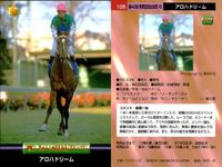 カード まとめ 競馬 サラブレッドカード 馬 ローゼンカバリー オースミタイクーン マウンテデストーン アロハドリーム ダンスパートナー クイーンズネット ケイエミラー サイクロンシェーン サムネイル 5