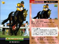 カード まとめ 競馬 サラブレッドカード 馬 ローゼンカバリー オースミタイクーン マウンテデストーン アロハドリーム ダンスパートナー クイーンズネット ケイエミラー サイクロンシェーン サムネイル 2
