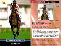 カード まとめ 競馬 サラブレッドカード 馬 ローゼンカバリー オースミタイクーン マウンテデストーン アロハドリーム ダンスパートナー クイーンズネット ケイエミラー サイクロンシェーン サムネイル 9