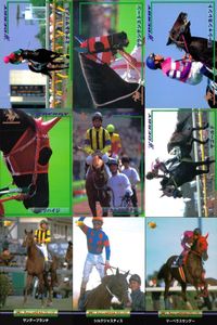 カード まとめ 競馬 サラブレッドカード 馬 ミナモトマリノス マウンテストーン オーシャンカレント ビワハイジ トビカルコレクター ザゴールド サンデーランチ シルクジャスティス マーベラスサンデー サムネイル 1