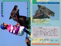 カード まとめ 競馬 サラブレッドカード 馬 ミナモトマリノス マウンテストーン オーシャンカレント ビワハイジ トビカルコレクター ザゴールド サンデーランチ シルクジャスティス マーベラスサンデー サムネイル 4