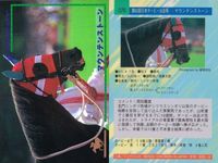 カード まとめ 競馬 サラブレッドカード 馬 ミナモトマリノス マウンテストーン オーシャンカレント ビワハイジ トビカルコレクター ザゴールド サンデーランチ シルクジャスティス マーベラスサンデー サムネイル 3