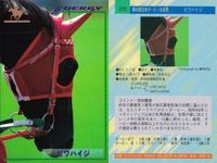 カード まとめ 競馬 サラブレッドカード 馬 ミナモトマリノス マウンテストーン オーシャンカレント ビワハイジ トビカルコレクター ザゴールド サンデーランチ シルクジャスティス マーベラスサンデー サムネイル 5