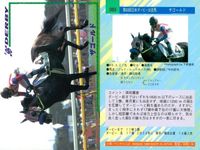 カード まとめ 競馬 サラブレッドカード 馬 ミナモトマリノス マウンテストーン オーシャンカレント ビワハイジ トビカルコレクター ザゴールド サンデーランチ シルクジャスティス マーベラスサンデー サムネイル 7