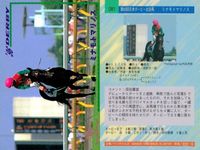 カード まとめ 競馬 サラブレッドカード 馬 ミナモトマリノス マウンテストーン オーシャンカレント ビワハイジ トビカルコレクター ザゴールド サンデーランチ シルクジャスティス マーベラスサンデー サムネイル 2