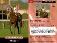 カード まとめ 競馬 サラブレッドカード 馬 マチカネフキタル ダイワオーシュ トキオエクセレント トウシントルネード スティゴールド パルスビート エリモブティー ノーザンウェーブ ニケスピリット サムネイル 10