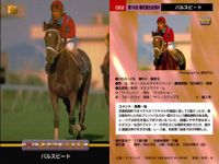 カード まとめ 競馬 サラブレッドカード 馬 マチカネフキタル ダイワオーシュ トキオエクセレント トウシントルネード スティゴールド パルスビート エリモブティー ノーザンウェーブ ニケスピリット サムネイル 7