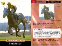 カード まとめ 競馬 サラブレッドカード 馬 マチカネフキタル ダイワオーシュ トキオエクセレント トウシントルネード スティゴールド パルスビート エリモブティー ノーザンウェーブ ニケスピリット サムネイル 4