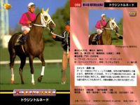 カード まとめ 競馬 サラブレッドカード 馬 マチカネフキタル ダイワオーシュ トキオエクセレント トウシントルネード スティゴールド パルスビート エリモブティー ノーザンウェーブ ニケスピリット サムネイル 5