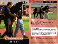 カード まとめ 競馬 サラブレッドカード 馬 マチカネフキタル ダイワオーシュ トキオエクセレント トウシントルネード スティゴールド パルスビート エリモブティー ノーザンウェーブ ニケスピリット サムネイル 6