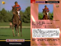 カード まとめ 競馬 サラブレッドカード 馬 マチカネフキタル ダイワオーシュ トキオエクセレント トウシントルネード スティゴールド パルスビート エリモブティー ノーザンウェーブ ニケスピリット サムネイル 2