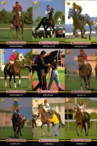 カード まとめ 競馬 サラブレッドカード 馬 マチカネフキタル ダイワオーシュ トキオエクセレント トウシントルネード スティゴールド パルスビート エリモブティー ノーザンウェーブ ニケスピリット サムネイル 1