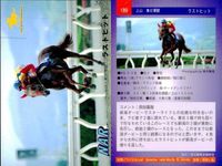 カード まとめ 競馬 サラブレッドカード 馬 ミホノダンサー パルブライト リデアンシャ ダイセンスワロー ケイエミッション キネイヒット イノプライザー マルゼンオ ラストヒット サムネイル 10