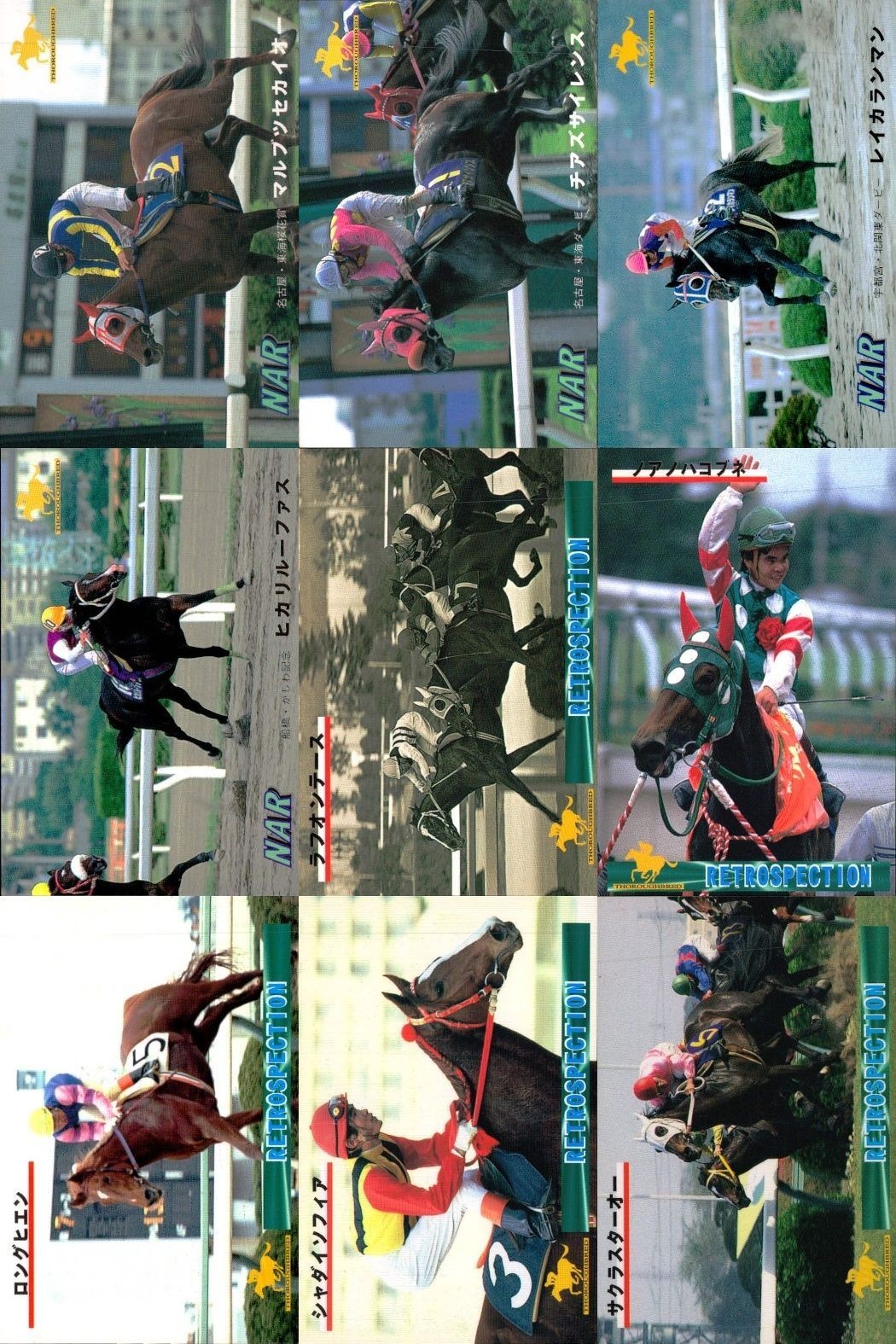 カード まとめ 競馬 サラブレッドカード 馬 マルブツセカイー チアヌザイレンス レイカランマン ヒカルリーファス ラフォーテス ノアノハコブネ ロングヒエン シャダイソフィア サクラスターホー