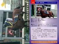 カード まとめ 競馬 サラブレッドカード 馬 マルブツセカイー チアヌザイレンス レイカランマン ヒカルリーファス ラフォーテス ノアノハコブネ ロングヒエン シャダイソフィア サクラスターホー サムネイル 2