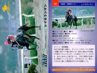 カード まとめ 競馬 サラブレッドカード 馬 マルブツセカイー チアヌザイレンス レイカランマン ヒカルリーファス ラフォーテス ノアノハコブネ ロングヒエン シャダイソフィア サクラスターホー サムネイル 4